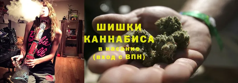 Шишки марихуана SATIVA & INDICA  Усть-Лабинск 